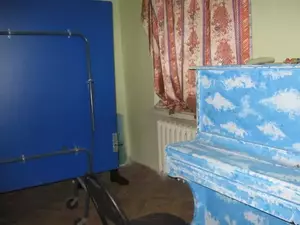 Фото к объявлению #22153039