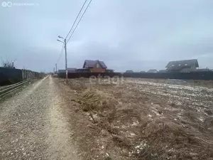 Фото к объявлению #21985266