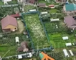 Фото к объявлению #22249856