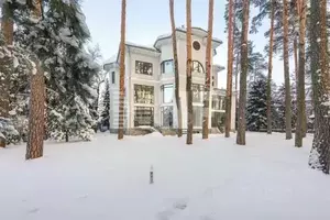 Фото к объявлению #20046869