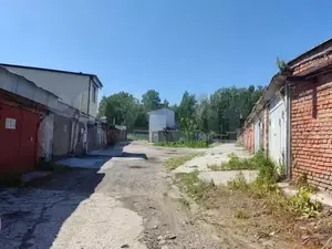 Фото к объявлению #21250558