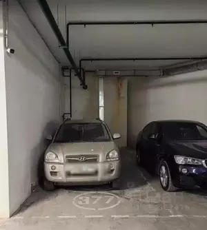 Фото к объявлению #21957434