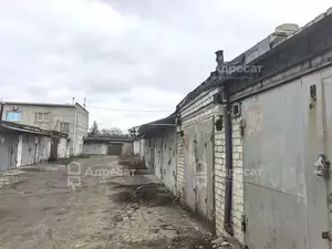Фото к объявлению #22262051