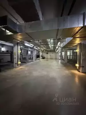 Фото к объявлению #22212132