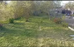 Фото к объявлению #22265860