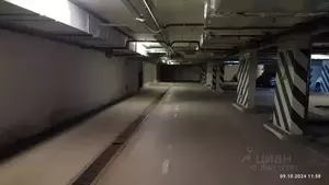 Фото к объявлению #21277958