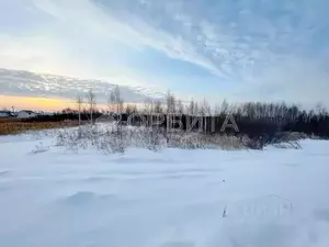 Фото к объявлению #22278153