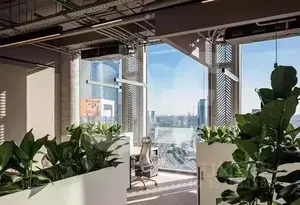 Фото к объявлению #22220868