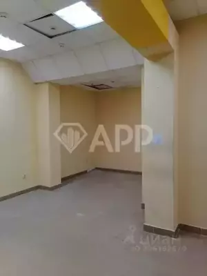 Фото к объявлению #21036652