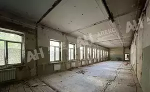 Фото к объявлению #22190341