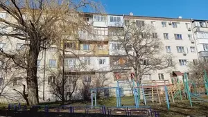 Фото к объявлению #22206260