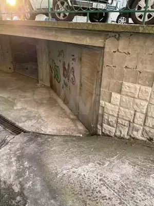 Фото к объявлению #20850067