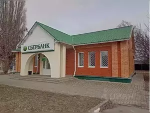Фото к объявлению #20645987