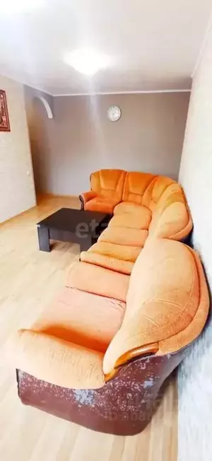 Фото к объявлению #21443375