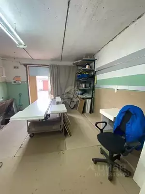 Фото к объявлению #20277766