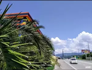 Фото к объявлению #22205978