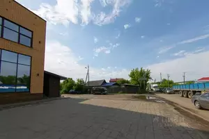 Фото к объявлению #22243252