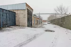 Фото к объявлению #22236227