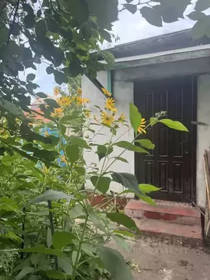 Фото к объявлению #22196612