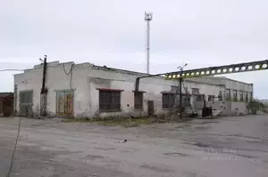 Фото к объявлению #20891553