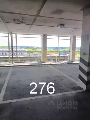 Фото к объявлению #19836197