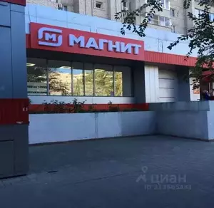 Фото к объявлению #21949296