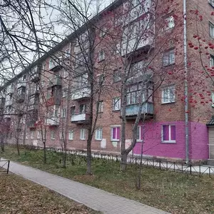 Фото к объявлению #21583335