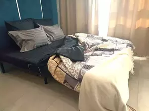 Фото к объявлению #22168050