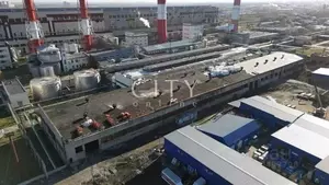 Фото к объявлению #22128239