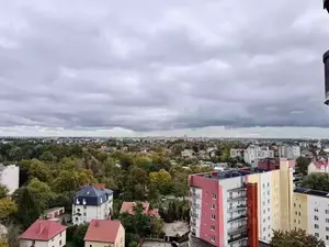 Фото к объявлению #22273667
