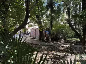 Фото к объявлению #22135887