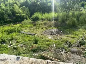 Фото к объявлению #20525337