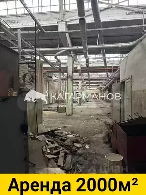 Фото к объявлению #22047364