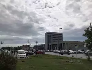 Фото к объявлению #21645023