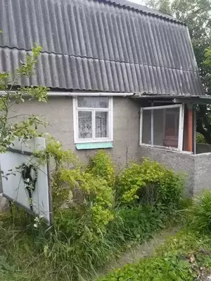 Фото к объявлению #22125945