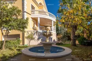 Фото к объявлению #20954564