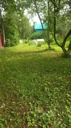 Фото к объявлению #20701896