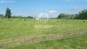 Фото к объявлению #20338246
