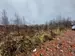 Фото к объявлению #