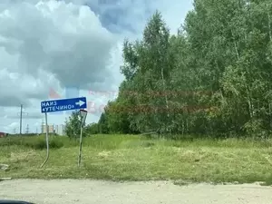 Фото к объявлению #22237933