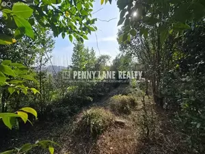 Фото к объявлению #22186089