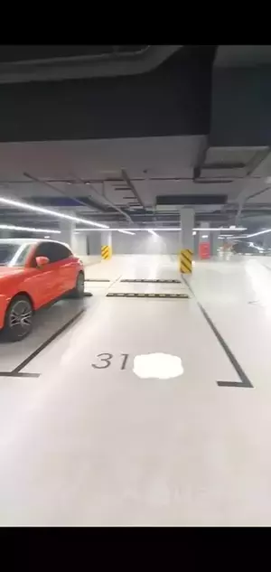 Фото к объявлению #21442620