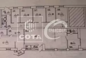 Фото к объявлению #22231074