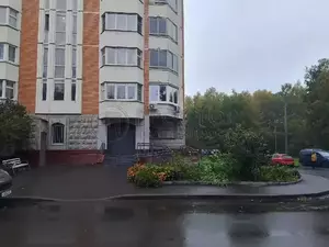 Фото к объявлению #22192560