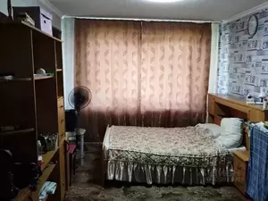 Фото к объявлению #22242604