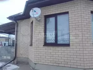 Фото к объявлению #21887309