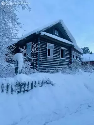 Фото к объявлению #22255767