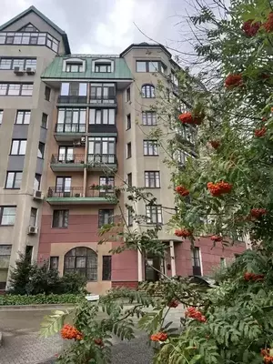 Фото к объявлению #22139745