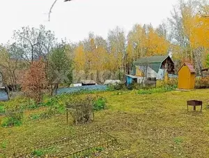 Фото к объявлению #22281789