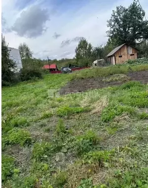 Фото к объявлению #21999327